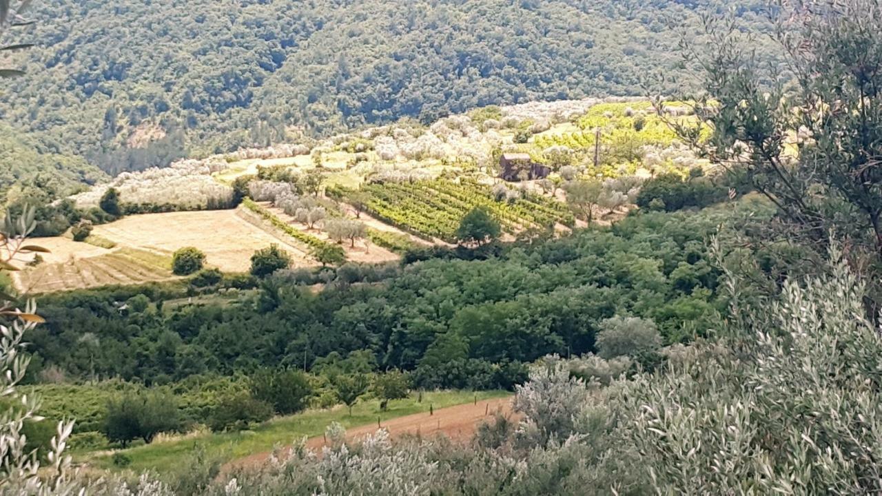 Šmarje Apartment Istrian View מראה חיצוני תמונה
