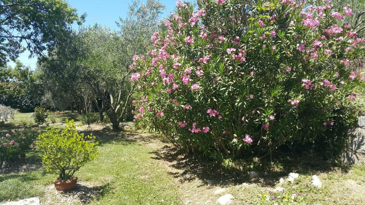 Šmarje Apartment Istrian View מראה חיצוני תמונה